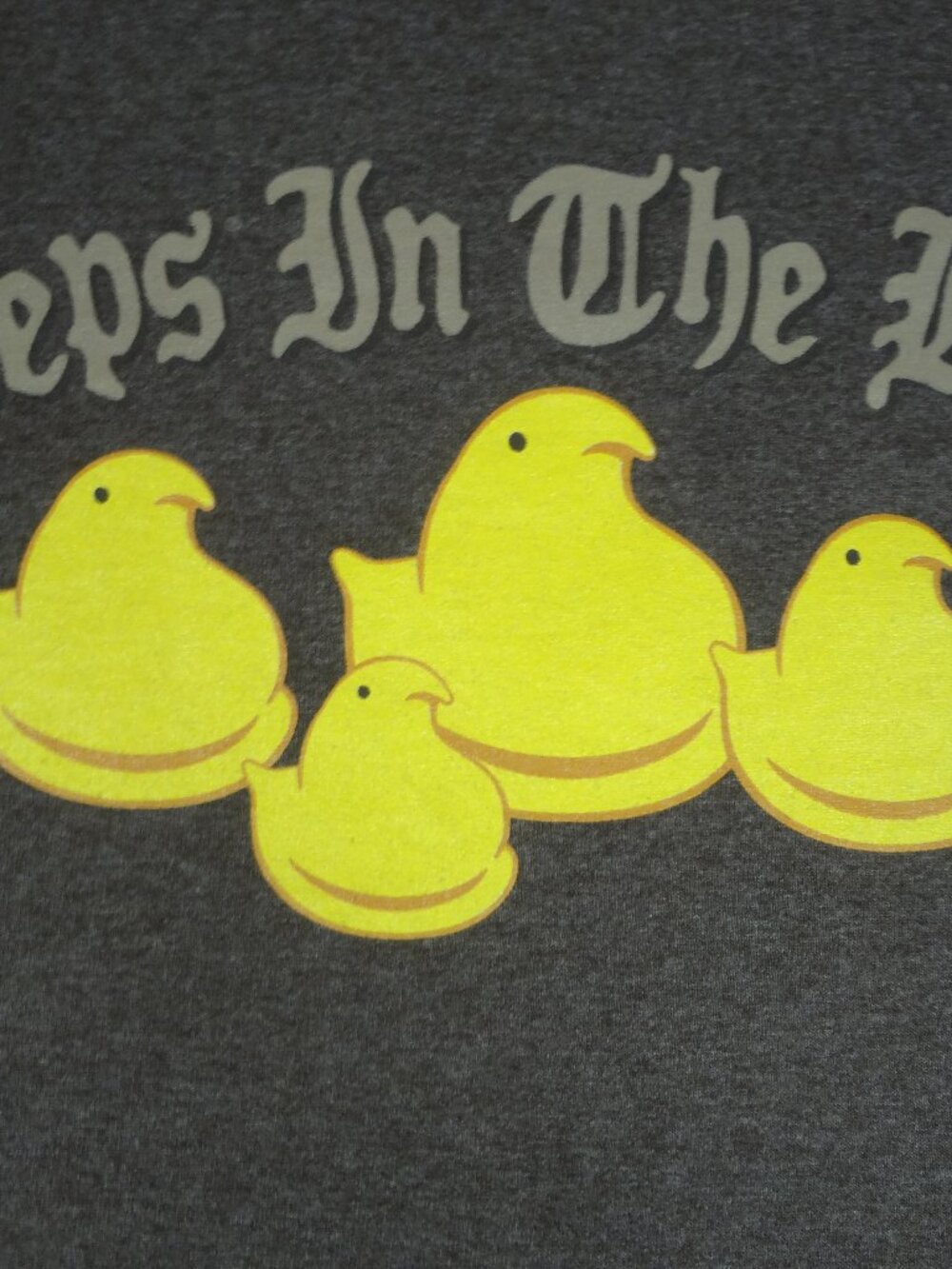 PEEPS IN THE HOOD - BROWN 2XL MENS T-SHIRT L705